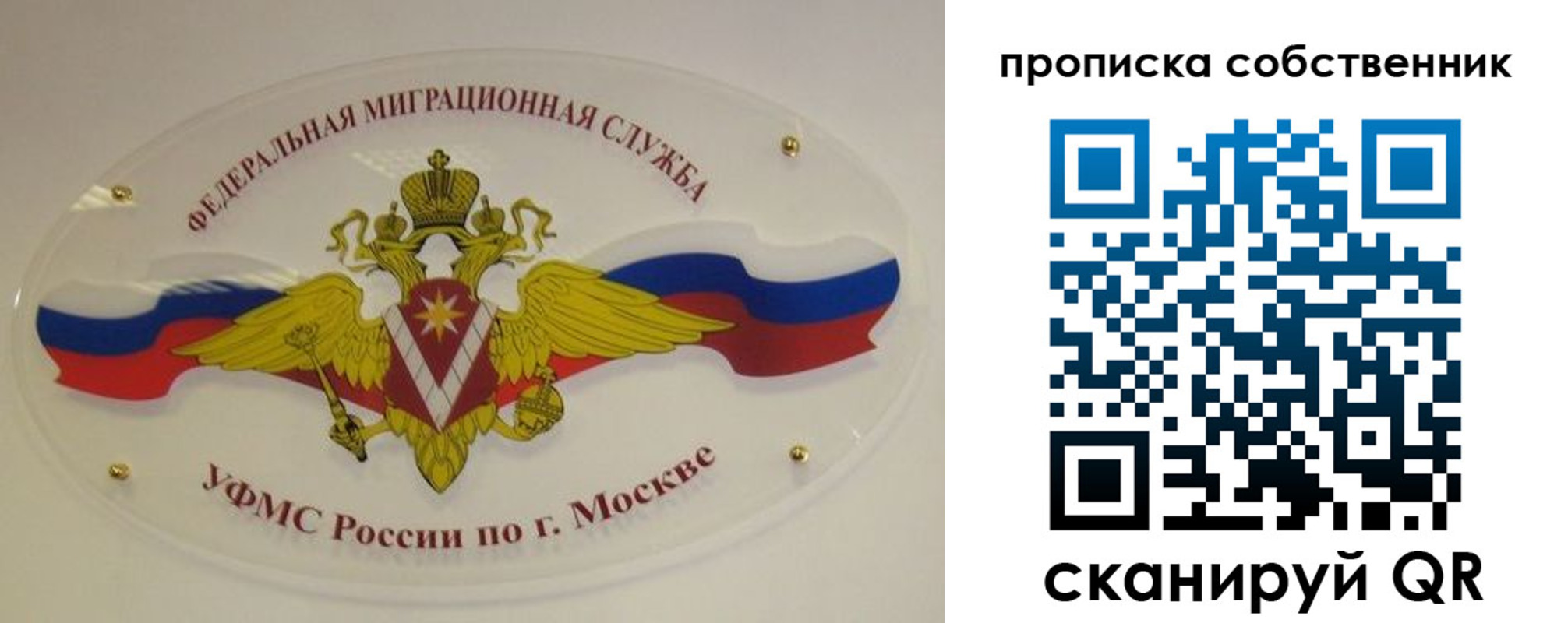 прописка 2025 в Струнино